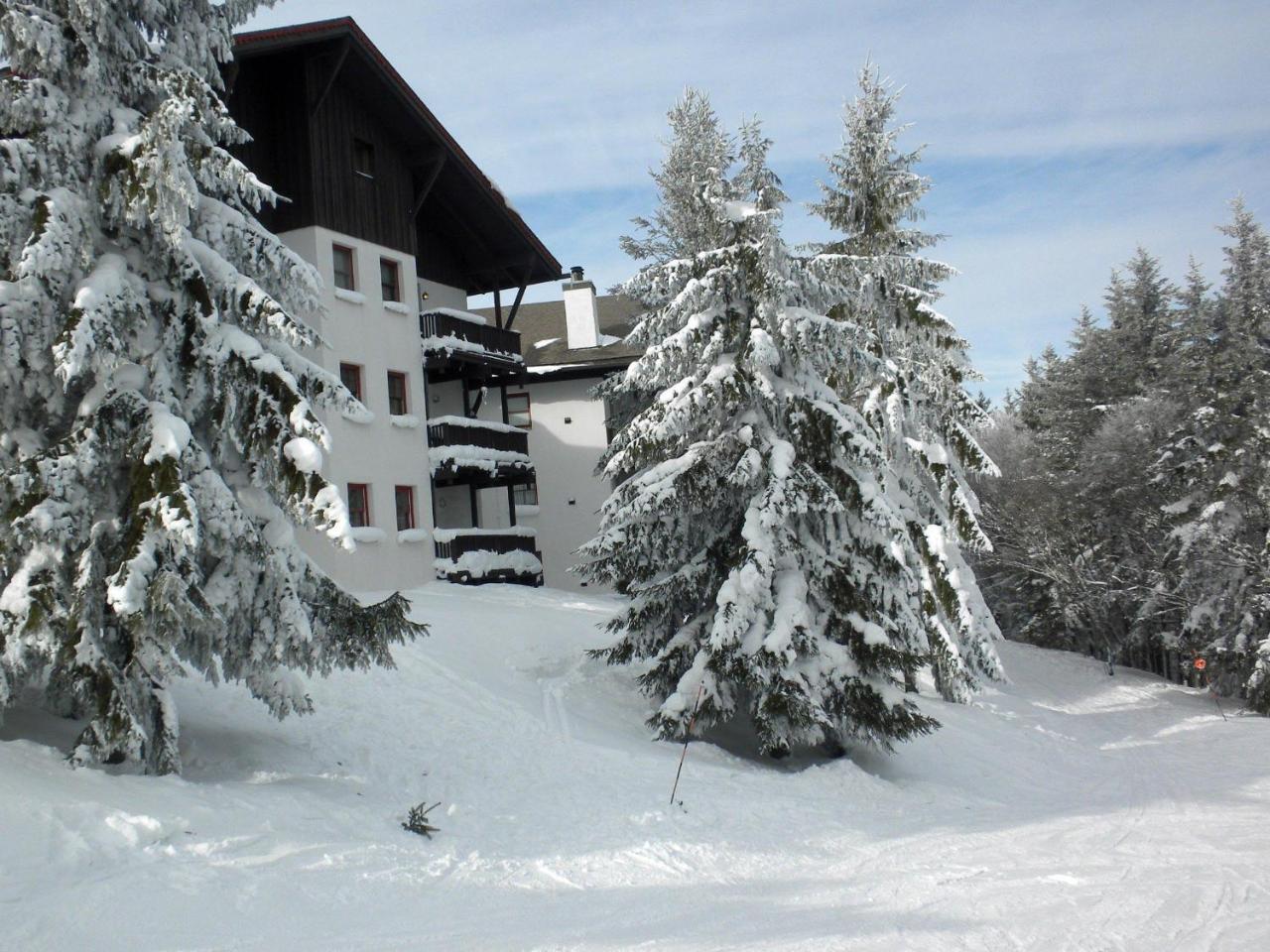 Whistlepunk 32 Villa Snowshoe Eksteriør billede